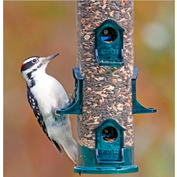 Jumbo Seed Songbird Feeder - Image 3
