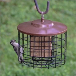 Squirrel-X Double Suet Caged Squirrel-Resistant Bird Feeder