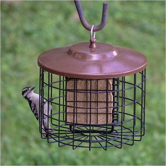Squirrel-X Double Suet Caged Squirrel-Resistant Bird Feeder