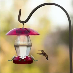 More Birds® Plastic Jubilee Hummingbird Feeder With Ant Moat - 20 Oz