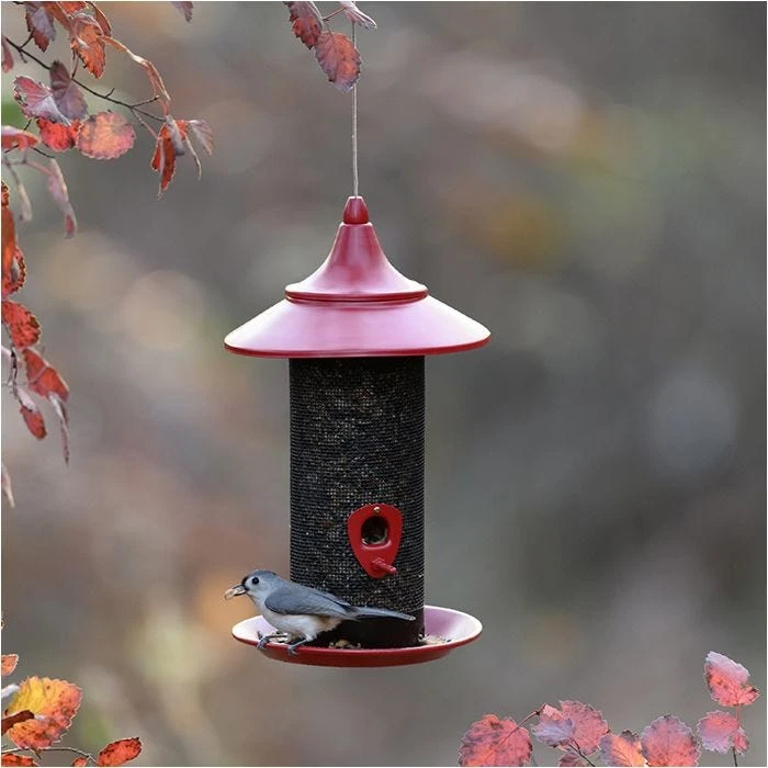 More Birds® Red Provincial Cardinal Screen Bird Feeder - 2.8 Lb