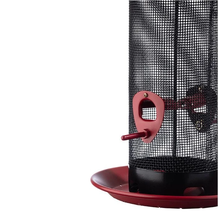 More Birds® Red Provincial Cardinal Screen Bird Feeder - 2.8 Lb - Image 3