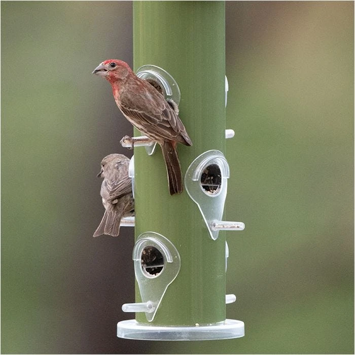 Perky-Pet® Green Metal Tube Wild Bird Feeder - Image 9