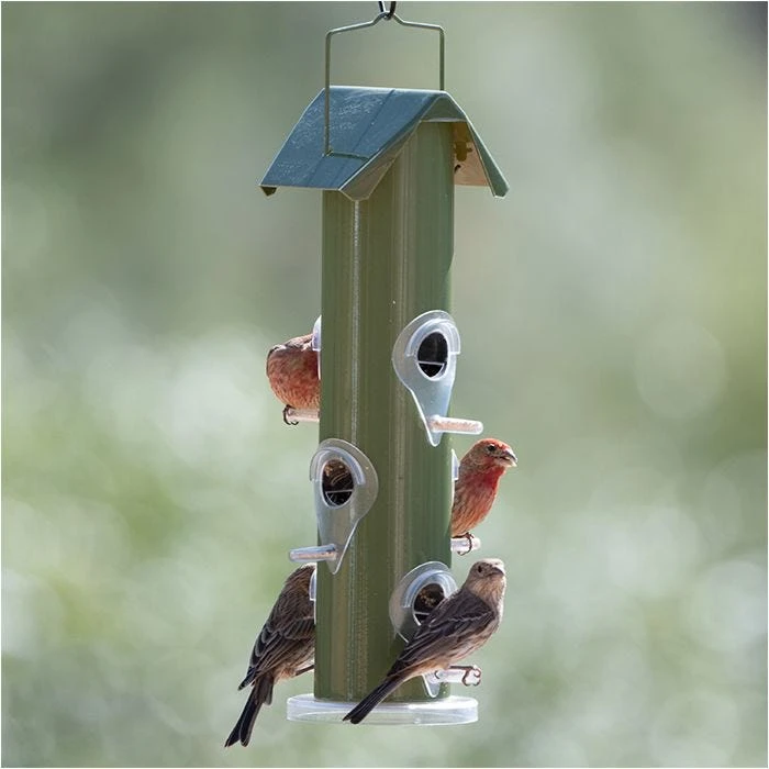 Perky-Pet® Green Metal Tube Wild Bird Feeder - Image 10