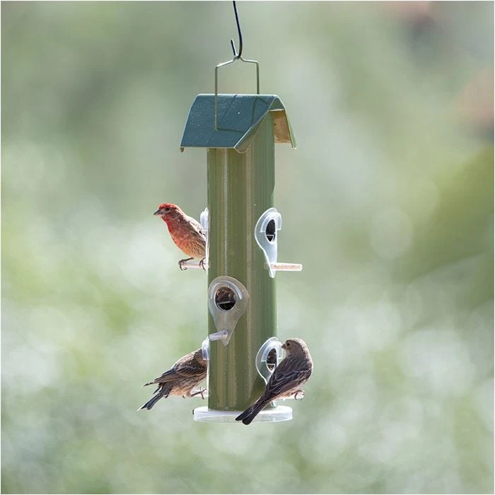 Perky-Pet® Green Metal Tube Wild Bird Feeder - Image 11