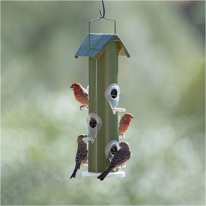 Perky-Pet® Green Metal Tube Wild Bird Feeder - Image 12