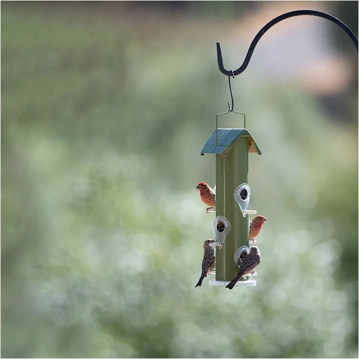 Perky-Pet® Green Metal Tube Wild Bird Feeder - Image 13