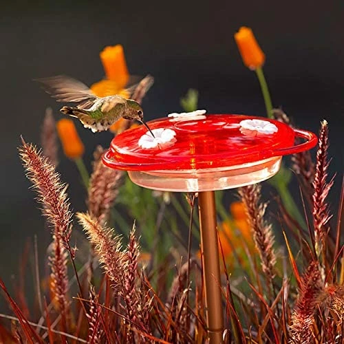 More Birds 3-in-1 Hummingbird Feeder 6 Oz. - Image 3
