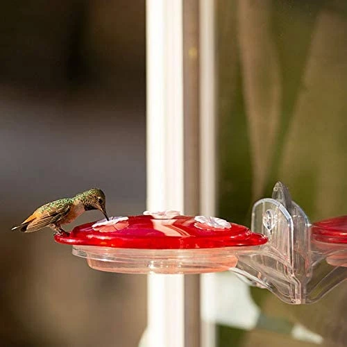 More Birds 3-in-1 Hummingbird Feeder 6 Oz. - Image 2