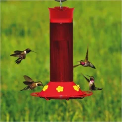 Perky-PetĀ® Our Best Plastic Hummingbird Feeder