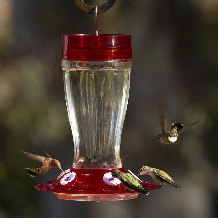 More Birds® Bird Health Big Gulp® Glass Hummingbird Feeder With Ant Moat - 40 Oz