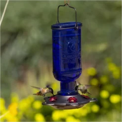 More Birds® Elixir Glass Hummingbird Feeder - 13 Oz - Blue