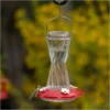 More Birds® Bohemian Glass Hummingbird Feeder With Bee Guard Nectar Ports - 20 Oz - Red