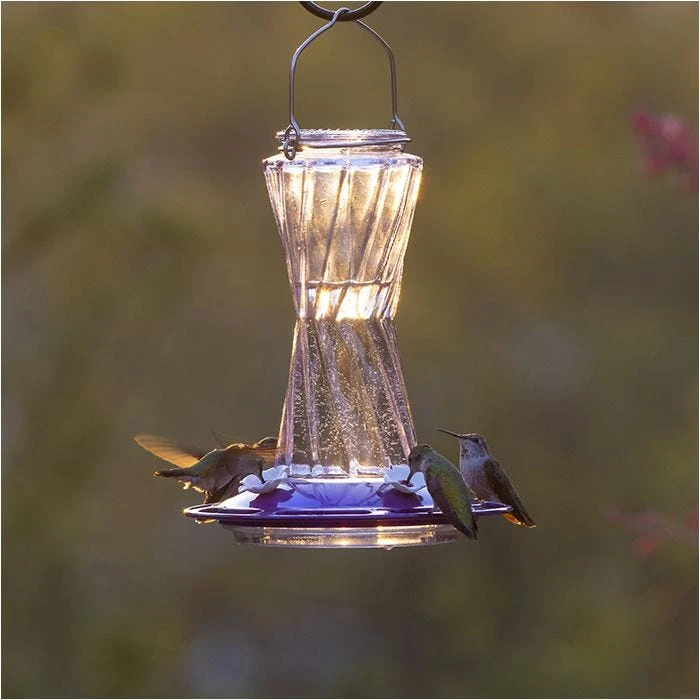 More Birds® Bohemian Glass Hummingbird Feeder With Bee Guard Nectar Ports - 20 Oz - Purple