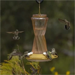 More Birds® Bohemian Glass Hummingbird Feeder With Bee Guard Nectar Ports - 20 Oz - Gold