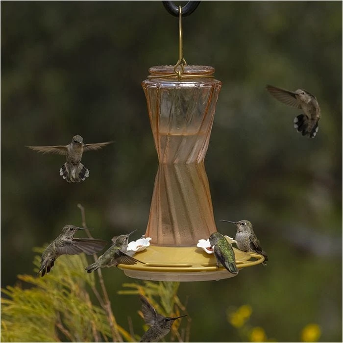 More Birds® Bohemian Glass Hummingbird Feeder With Bee Guard Nectar Ports - 20 Oz - Gold