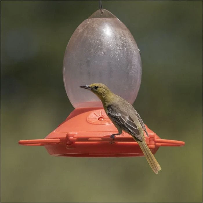 Perky-Pet® Plastic Oriole Feeder