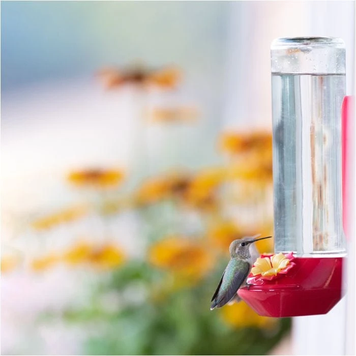 Perky-PetĀ® Window-Mounted Glass Hummingbird Feeder - Image 10
