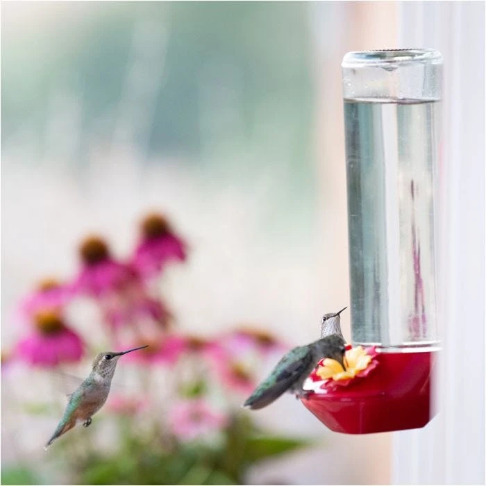 Perky-PetĀ® Window-Mounted Glass Hummingbird Feeder - Image 13