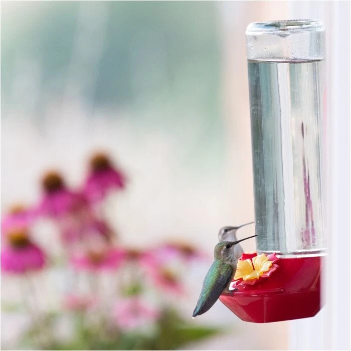 Perky-PetĀ® Window-Mounted Glass Hummingbird Feeder - Image 14