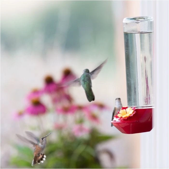 Perky-PetĀ® Window-Mounted Glass Hummingbird Feeder - Image 15
