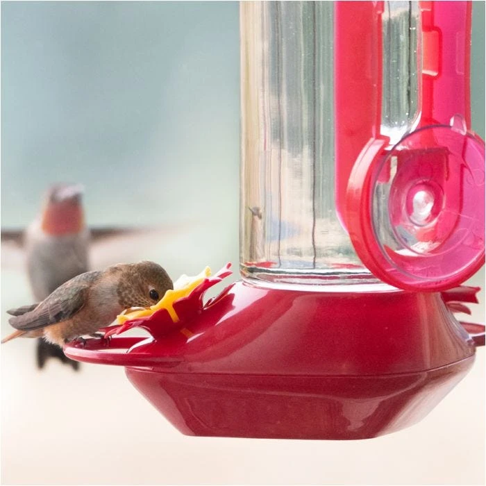 Perky-PetĀ® Window-Mounted Glass Hummingbird Feeder - Image 17