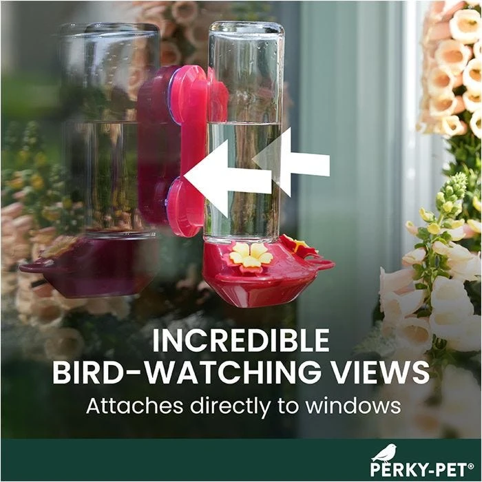 Perky-PetĀ® Window-Mounted Glass Hummingbird Feeder - Image 4