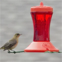 Perky-Pet® Oriole Feeder