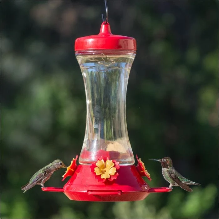 Perky-Pet® Adjustable Perch Glass Hummingbird Feeder - Image 9