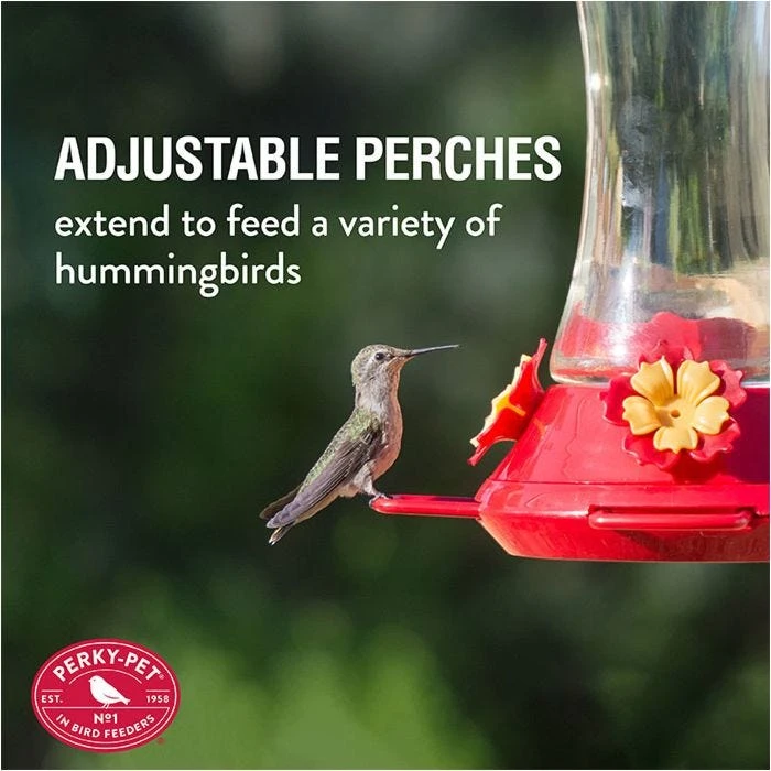 Perky-Pet® Adjustable Perch Glass Hummingbird Feeder - Image 4