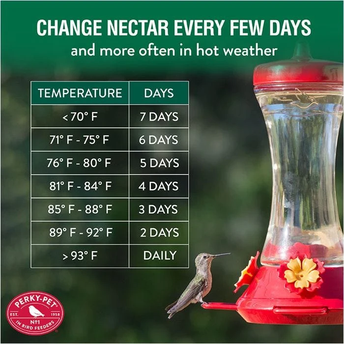 Perky-Pet® Adjustable Perch Glass Hummingbird Feeder - Image 8