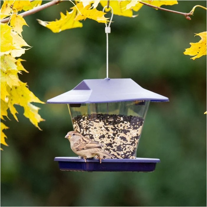 More Birds® Ranch Hopper Bird Feeder - 1.7 Lb