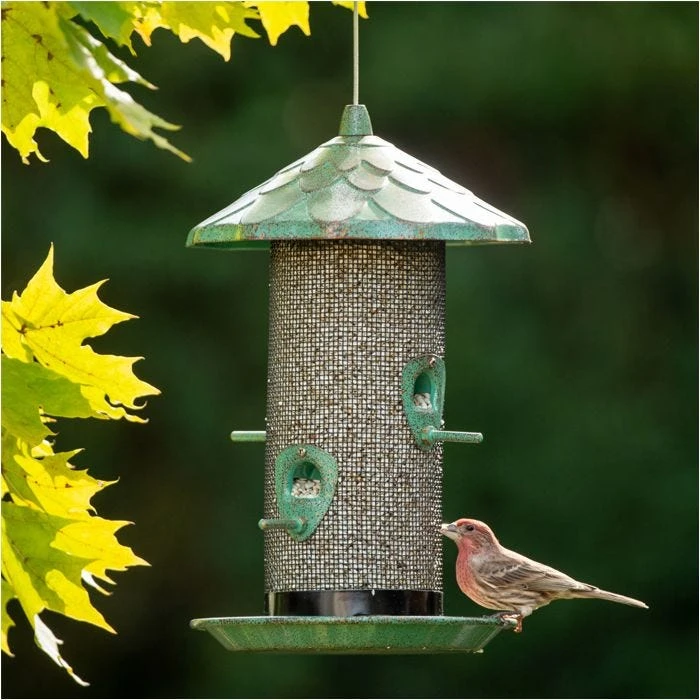 More Birds® Acorn Screen Bird Feeder - 2.8 Lb