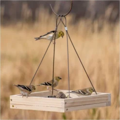 Perky-PetĀ® Hanging Tray Bird Feeder