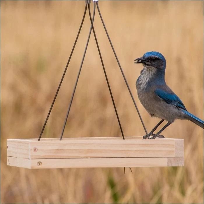 Perky-PetĀ® Hanging Tray Bird Feeder - Image 2