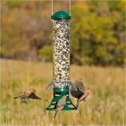 Perky-Pet® Squirrel Slammer Wild Bird Feeder