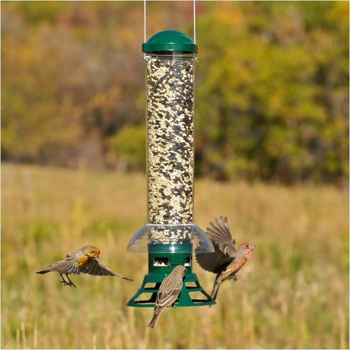 Perky-Pet® Squirrel Slammer Wild Bird Feeder