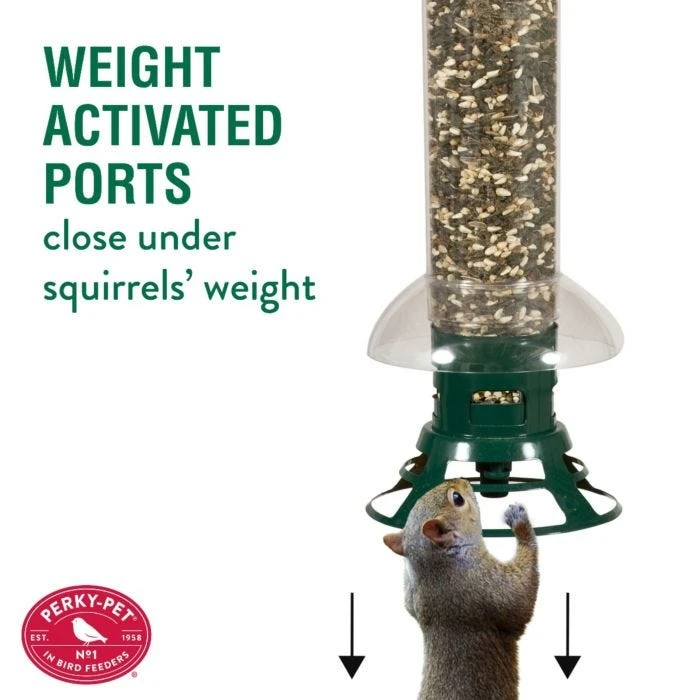 Perky-Pet® Squirrel Slammer Wild Bird Feeder - Image 5