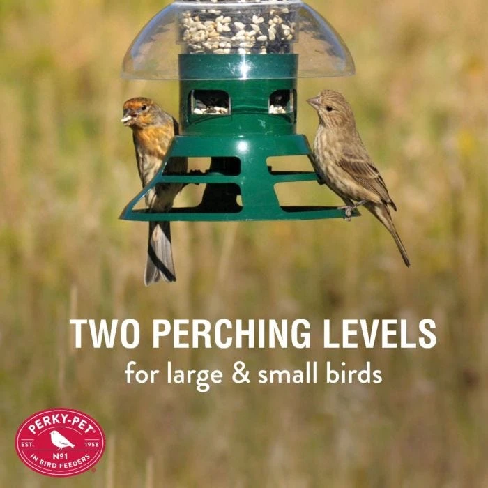 Perky-Pet® Squirrel Slammer Wild Bird Feeder - Image 7