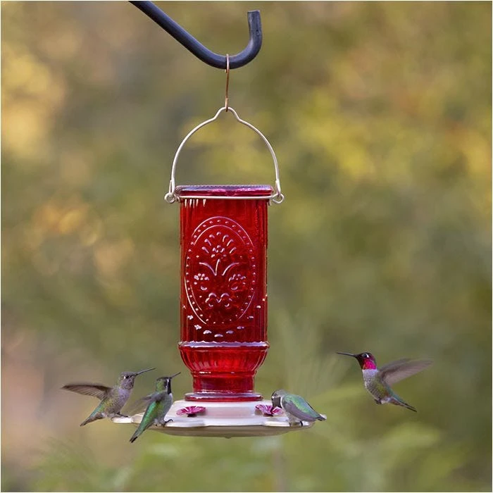 More Birds® Vintage Glass Hummingbird Feeder, Red - 20 Oz - Image 4