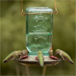 More Birds® Mason Jar Glass Hummingbird Feeder - 25 Oz