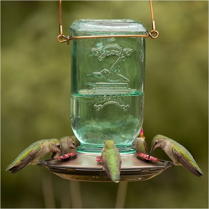 More Birds® Mason Jar Glass Hummingbird Feeder - 25 Oz