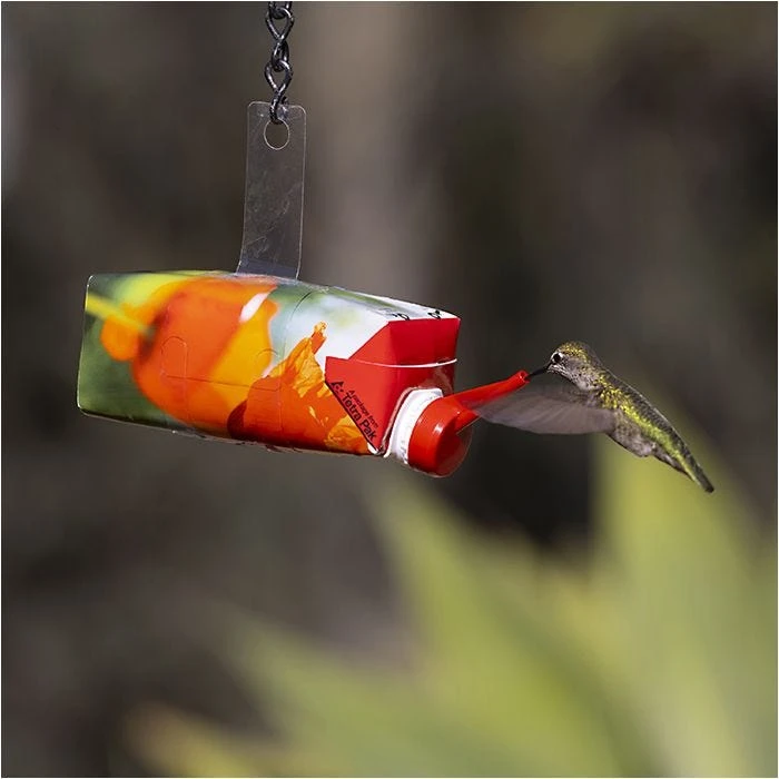 More Birds® Bird Health Simply Nectar Ready-to-Use Hummingbird Feeder - 11 Oz