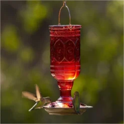 More Birds® Jewel Glass Hummingbird Feeder, Red - 20 Oz