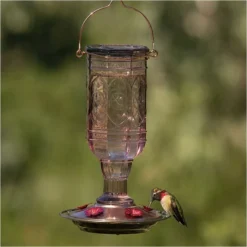 More Birds® Jewel Glass Hummingbird Feeder, Amethyst - 20 Oz