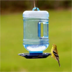 Perky-Pet® Water Cooler Bird Waterer
