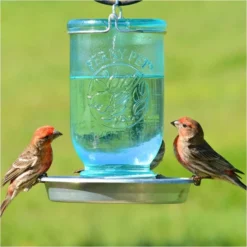 Perky-PetĀ® Mason Jar Wild Bird Waterer - 1-Pack