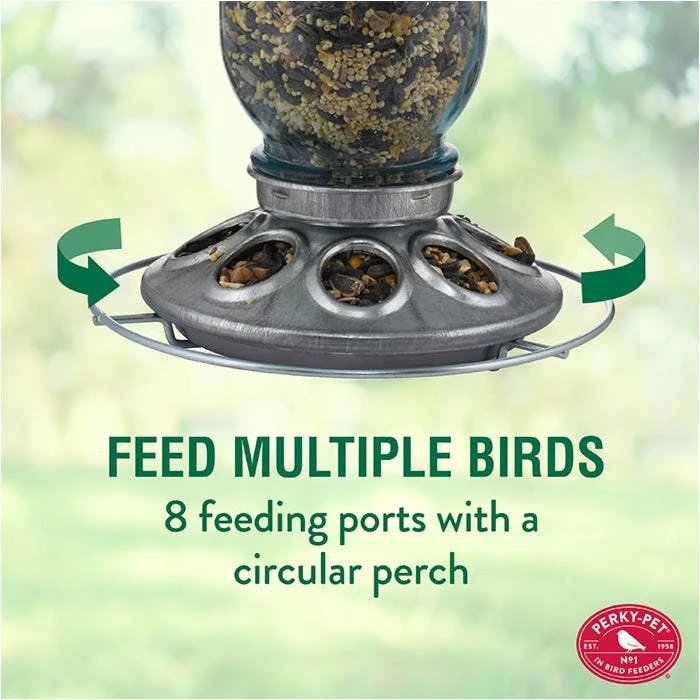 Perky-Pet® Mason Jar Wild Bird Feeder - Image 5