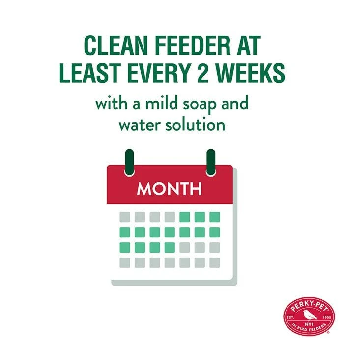 Perky-Pet® Mason Jar Wild Bird Feeder - Image 7