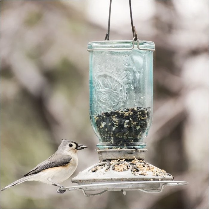 Perky-Pet® Mason Jar Wild Bird Feeder - Image 9
